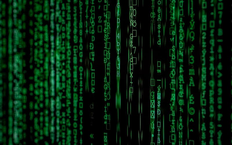 Columns of green characters cascading down a black screen